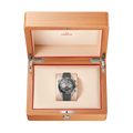 Omega watch in Alternative Metals O21532465101004