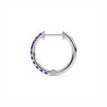 Earrings Earrings in White Gold containing Amethyst 452032