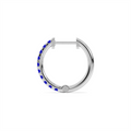 Earrings Earrings in White Gold containing Sapphire 452052