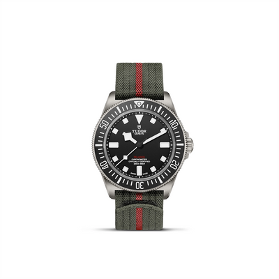 Tudor watch in Alternative Metals M25717N-0001