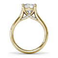 Fana Engagement Rings in Yellow Gold containing Diamond S4381-14KYG