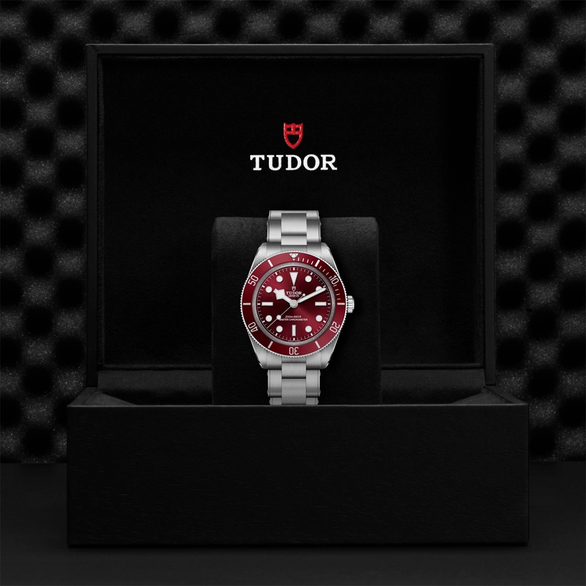 Tudor watch in Alternative Metals M7939A1A0RU-0002