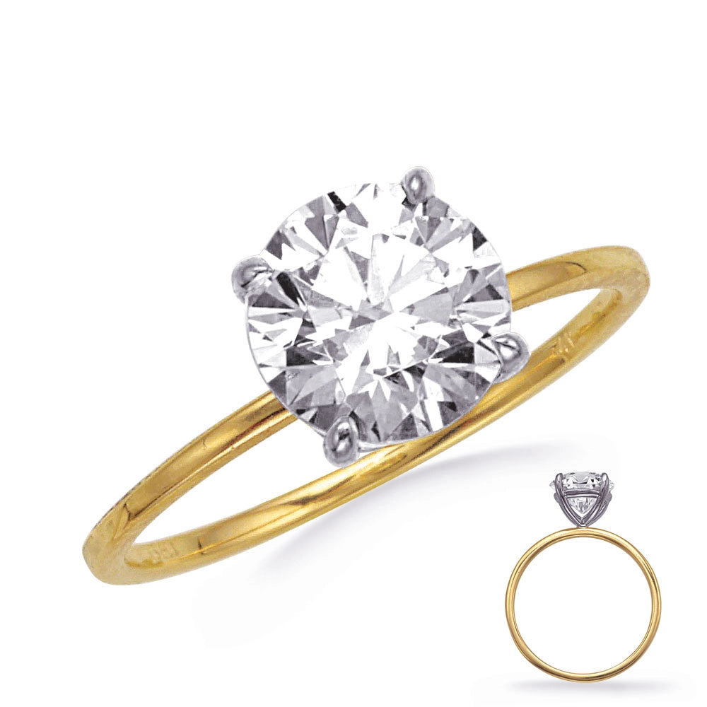 Engagement Collections Engagement Rings in Mixed Metals 455535