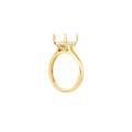 Engagement Collections Engagement Rings in Yellow Gold containing Diamond 456343