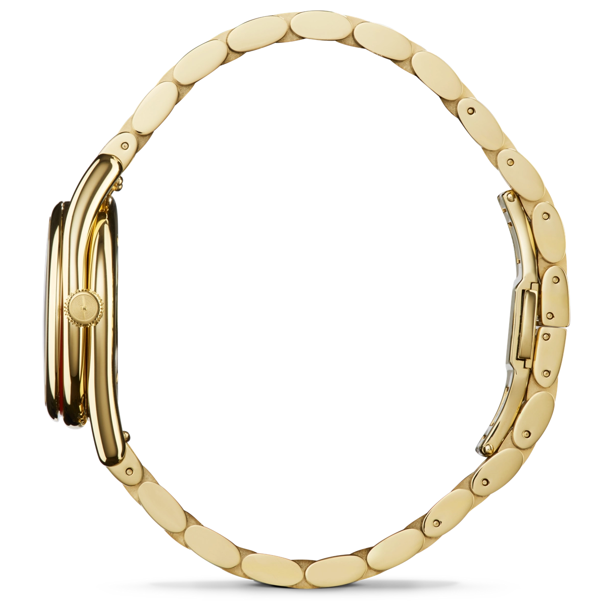 Shinola watch in Yellow Gold 20307528
