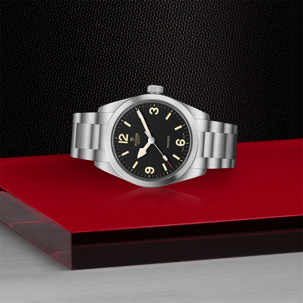 Tudor watch in Alternative Metals M79930-0001