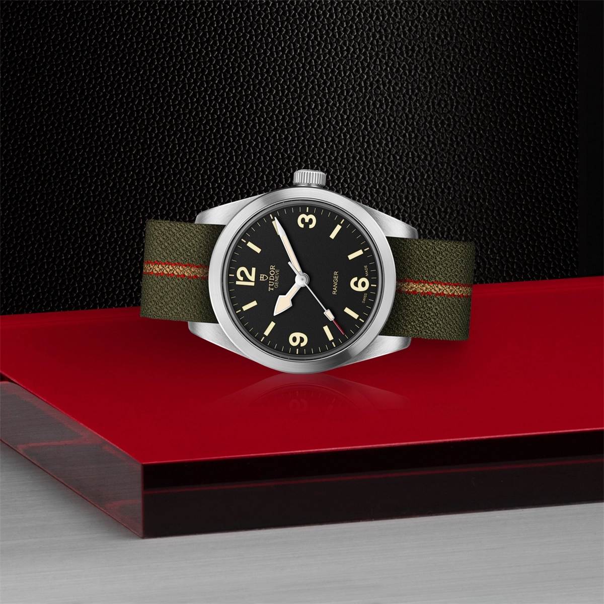 Tudor watch in Alternative Metals M79930-0003