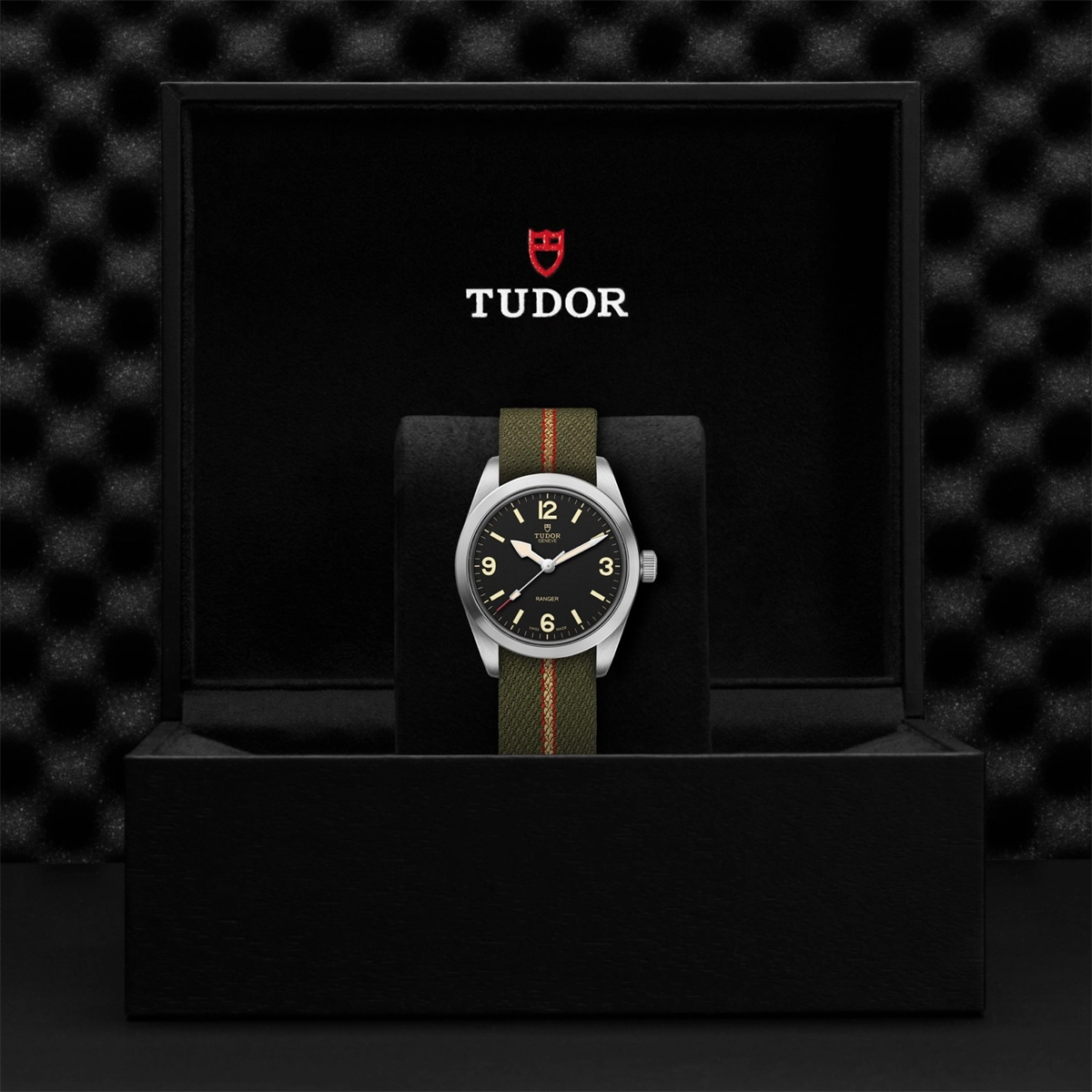 Tudor watch in Alternative Metals M79930-0003