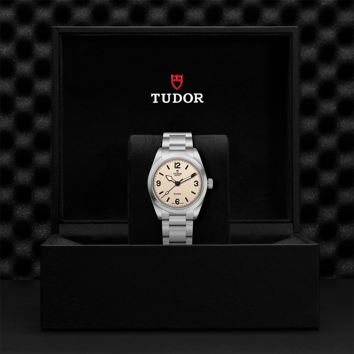 Tudor watch in Alternative Metals M79930-0007