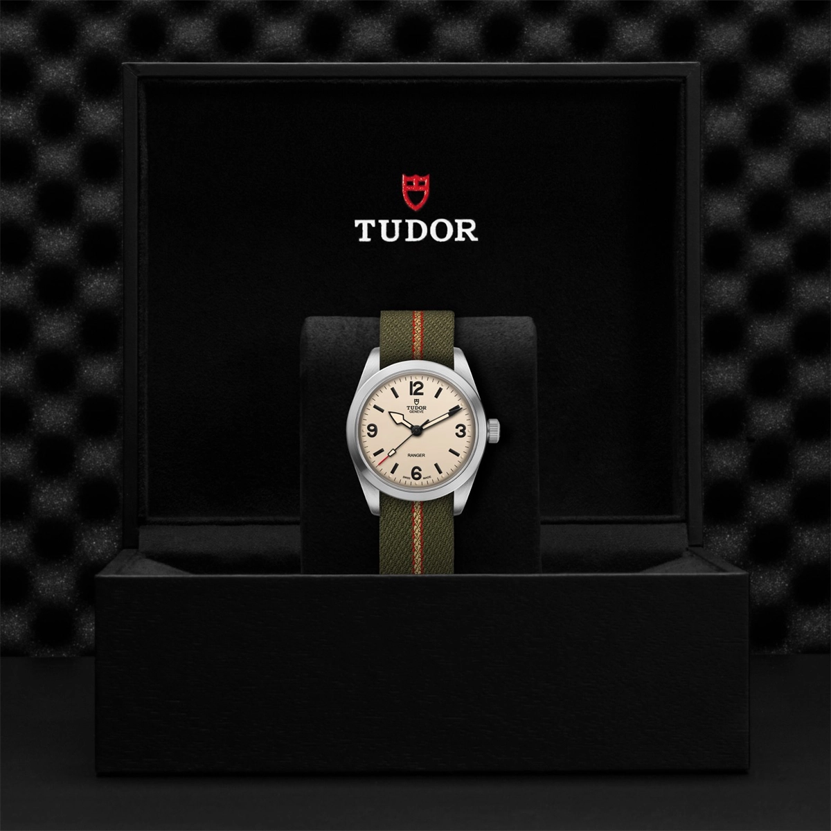 Tudor watch in Alternative Metals M79930-0008
