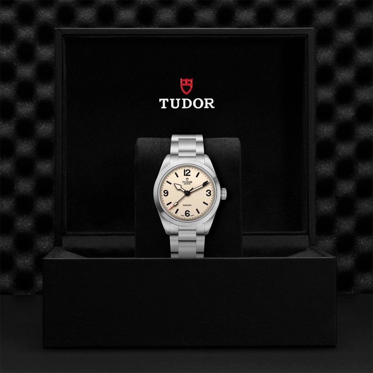 Tudor watch in Alternative Metals M79950-0008