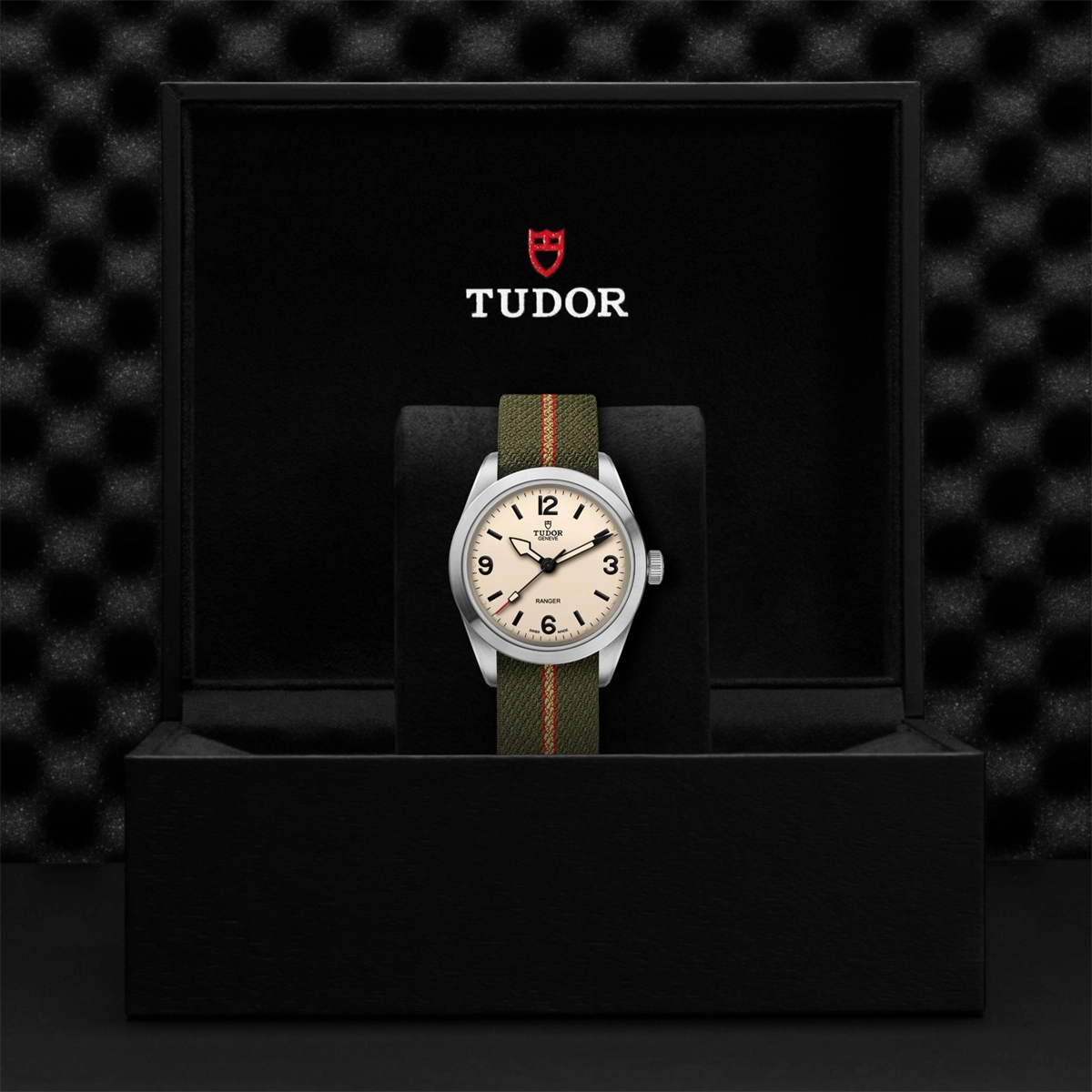 Tudor watch in Alternative Metals M79950-0011