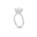 Fana Engagement Rings in White Gold containing Diamond S4150-3_0CT-RD-14KWG