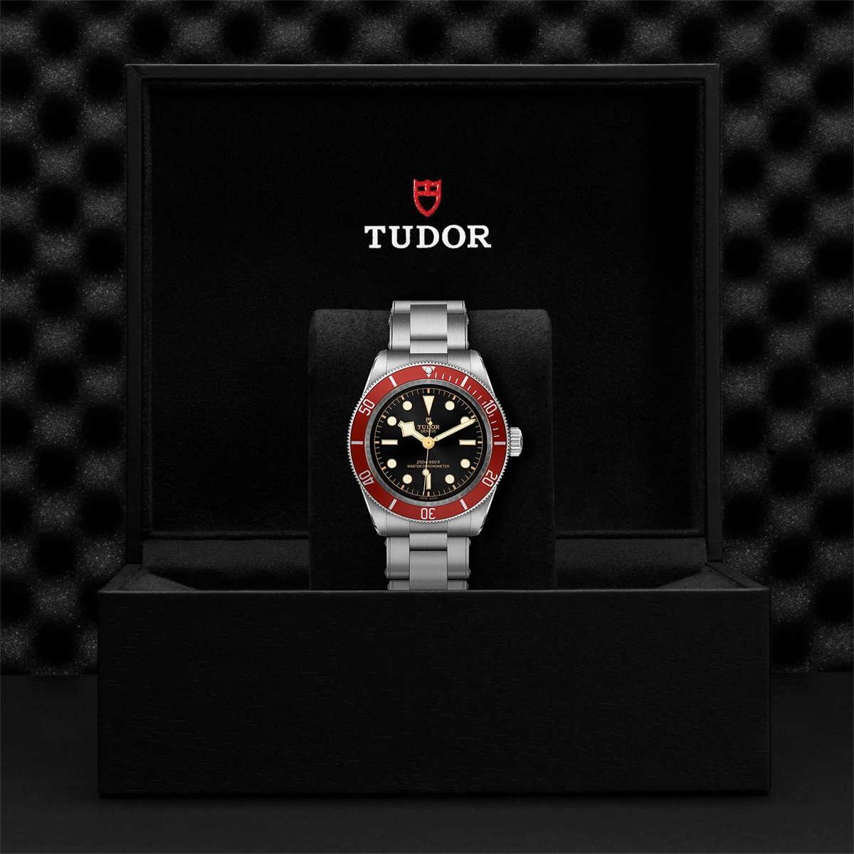 Tudor watch in Alternative Metals M7941A1A0RU-0001