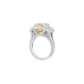 Engagement Collections Engagement Rings in Mixed Metals containing Diamond 459012