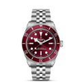 Tudor watch in Alternative Metals M7939A1A0RU-0001