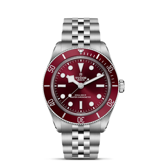 Tudor watch in Alternative Metals M7939A1A0RU-0001