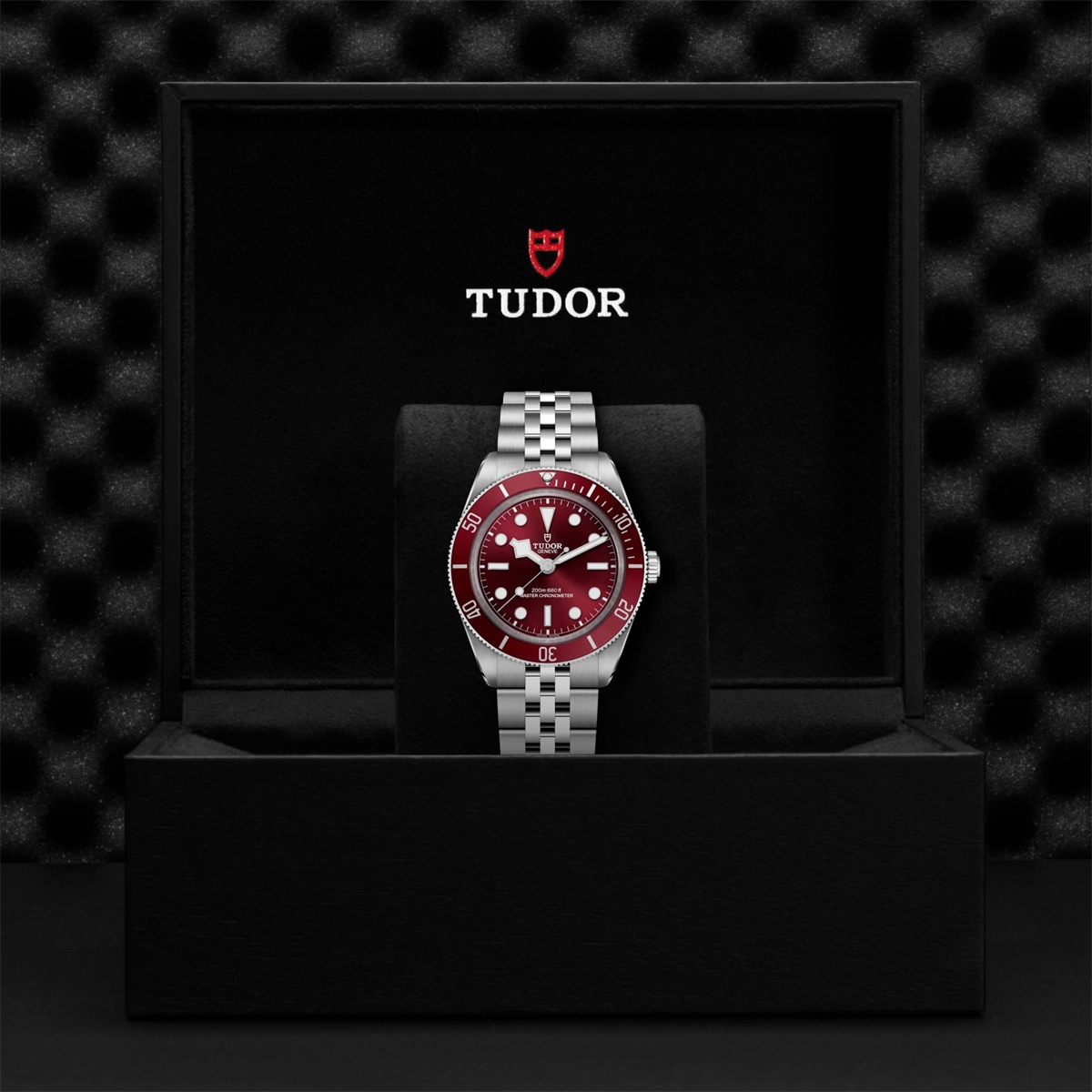 Tudor watch in Alternative Metals M7939A1A0RU-0001