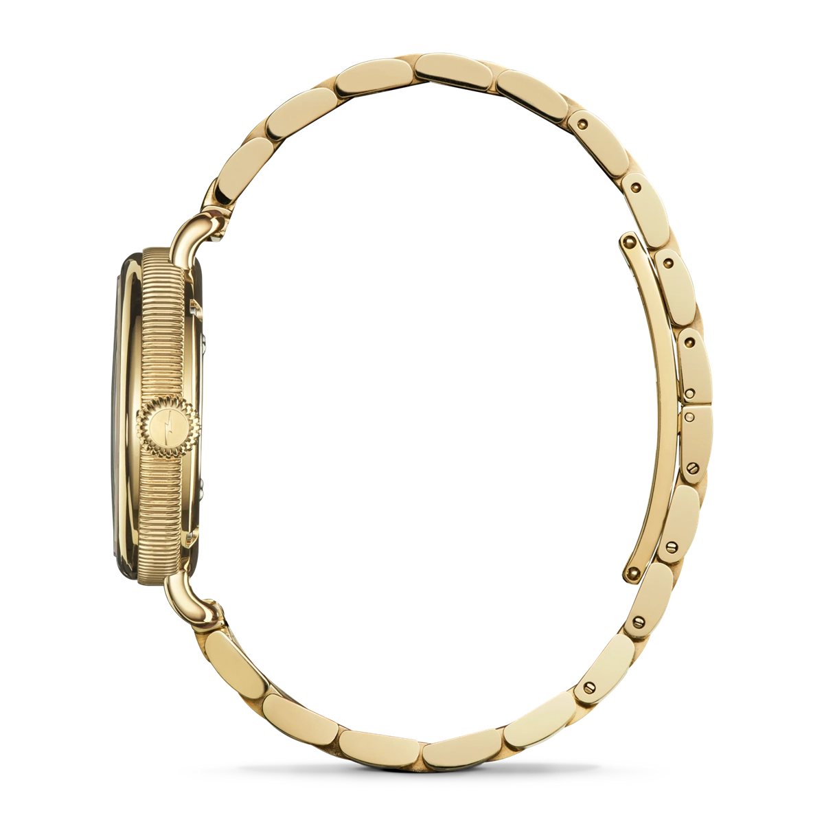 Shinola Birdy 34mm Lapis Lazuli Dial – Meierotto Jewelers