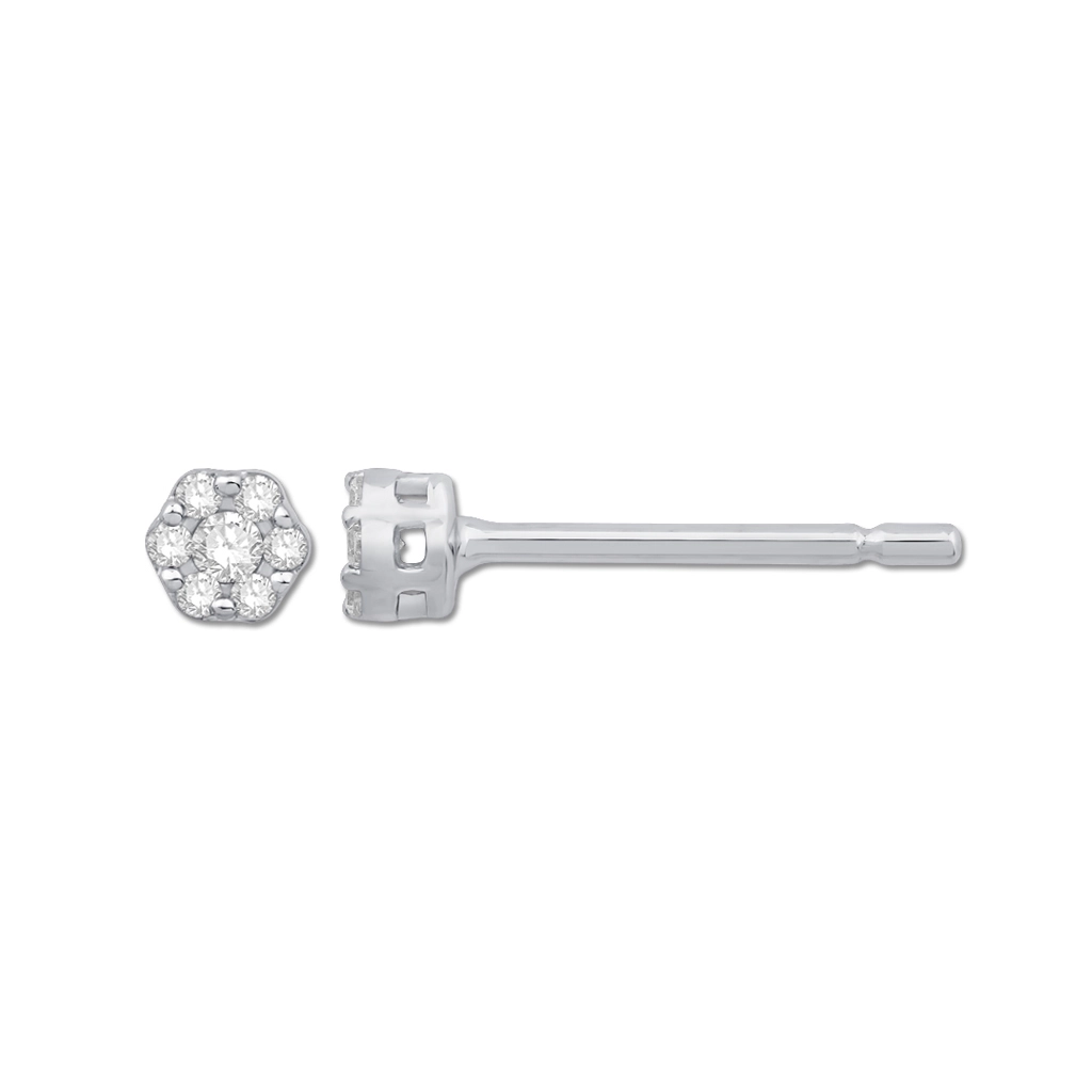 Earrings Earrings in White Gold containing Diamond 460721