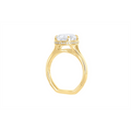 Noam Carver  Engagement Rings in Yellow Gold containing Diamond A159-06YM-FCYA-3.0CT