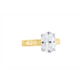 Noam Carver  Engagement Rings in Mixed Metals containing Diamond A162-06YWM-FCYA-3.0CT