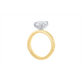 Noam Carver  Engagement Rings in Mixed Metals containing Diamond A162-06YWM-FCYA-3.0CT