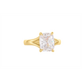 Noam Carver  Engagement Rings in Yellow Gold containing Diamond A169-05YM-FCYA-3.0CT