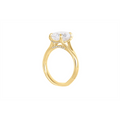 Noam Carver  Engagement Rings in Yellow Gold containing Diamond A169-05YM-FCYA-3.0CT