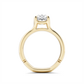 Noam Carver  Engagement Rings in Yellow Gold A172-02YM-FCYA-3.0CT