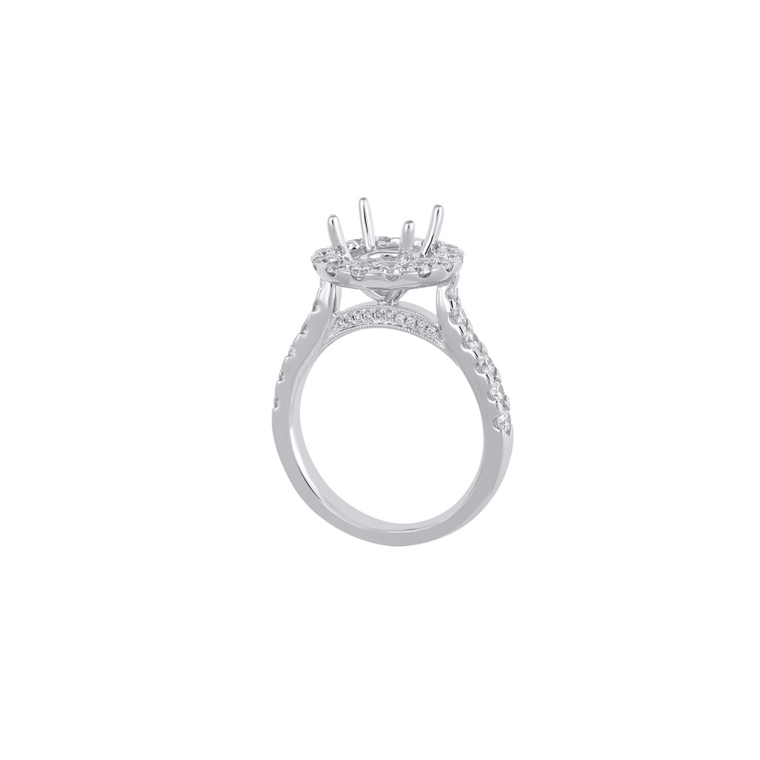 Engagement Collections Engagement Rings in White Gold containing Diamond 461630