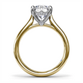 Fana Engagement Rings in Yellow Gold containing Diamond S4349-2_25CT-RD-14KYG