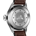IWC Schaffhausen watch in Alternative Metals IW501002