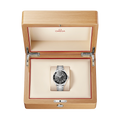 Omega watch in Alternative Metals O21730422101001