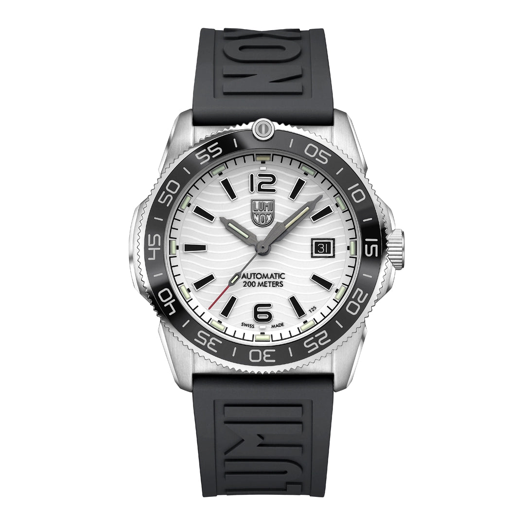Luminox watch in Alternative Metals XS.3101.H