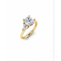 Verragio Engagement Rings in Yellow Gold containing Diamond V-997R-R-S