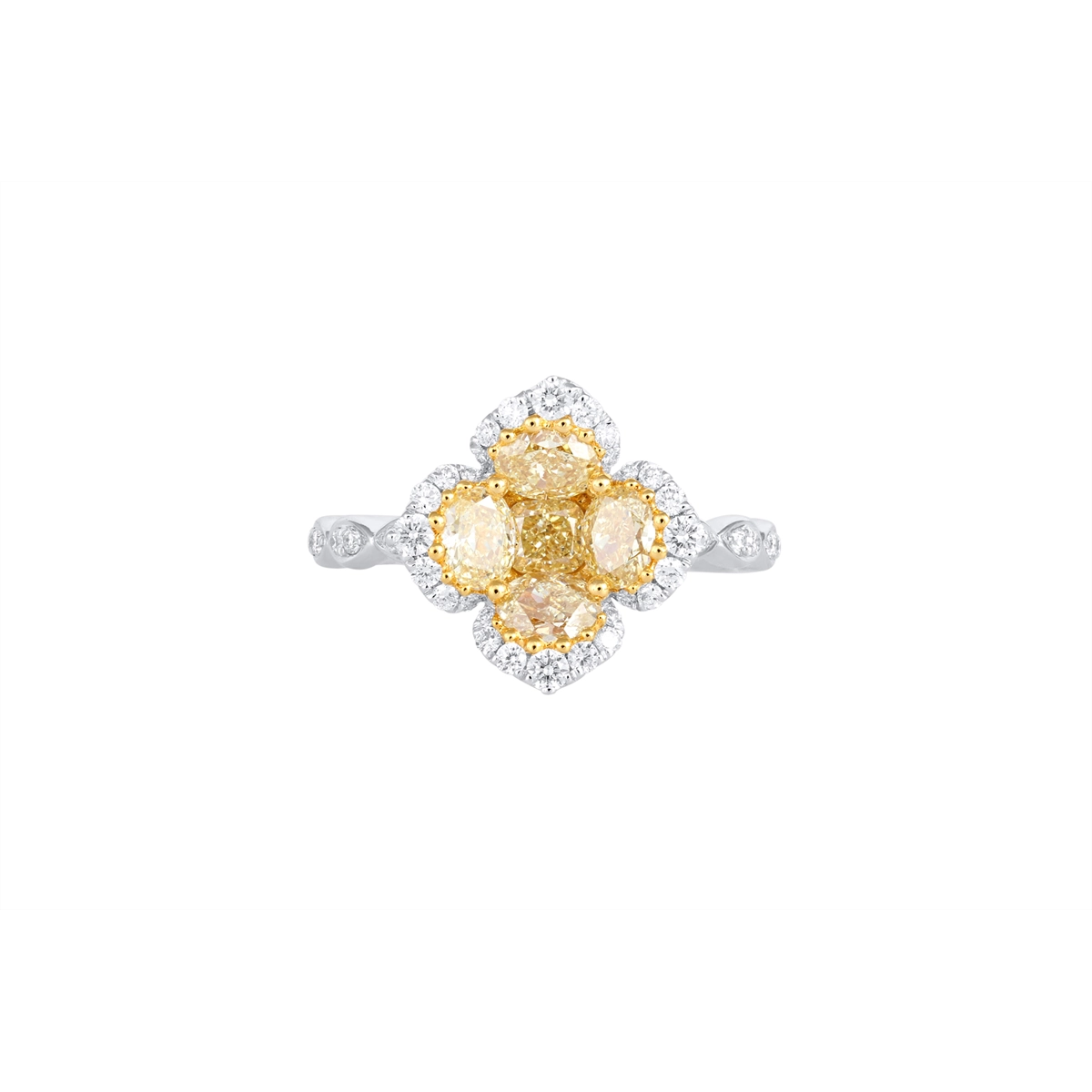 Rings Rings in White Gold containing Other, Multi-gemstone, Diamond 466146