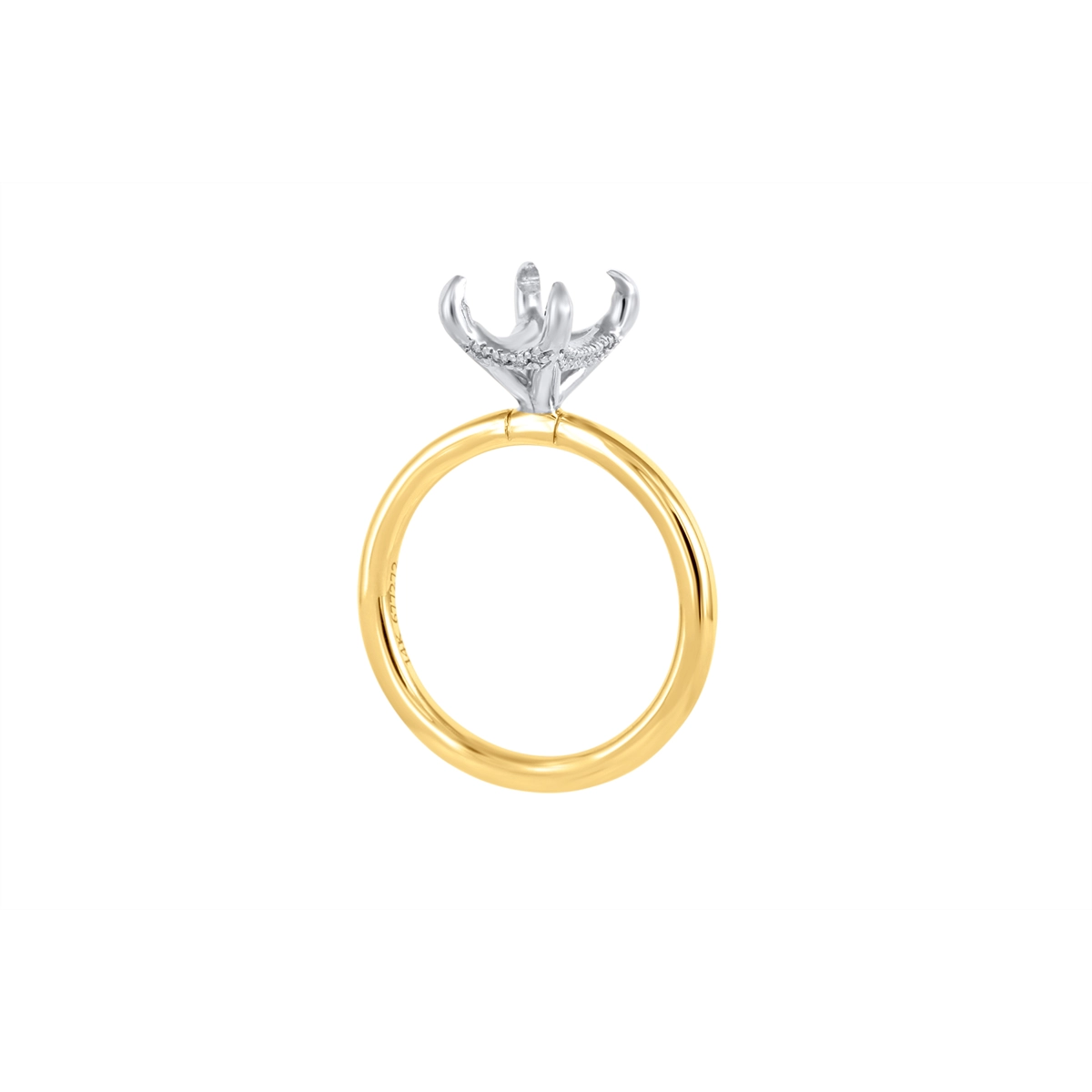 Noam Carver  Engagement Rings in Mixed Metals containing Diamond 466675