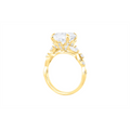 Engagement Collections Engagement Rings in Yellow Gold containing Diamond 466756