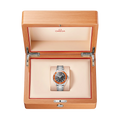 Omega watch in Alternative Metals O21730422101003