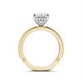 Noam Carver  Engagement Rings in Yellow Gold containing Diamond A162-06YWM-FCYA