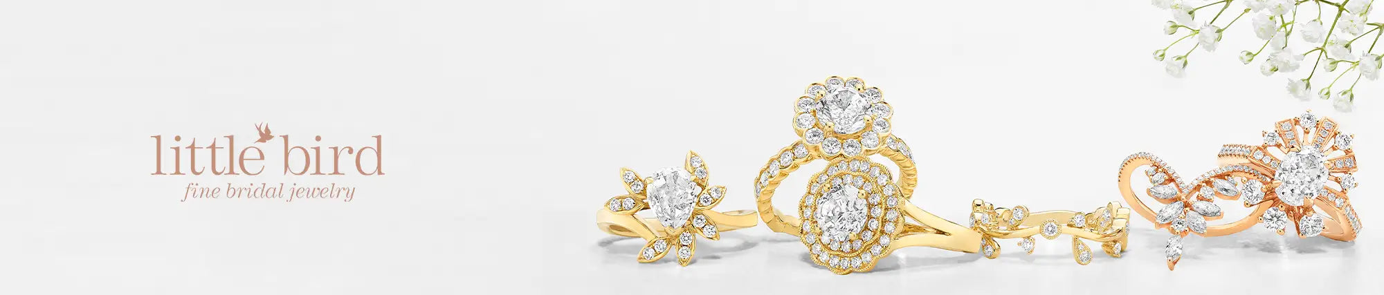 collection-banner-image