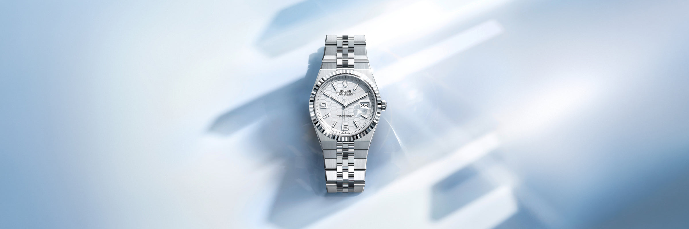 Rolex Land-Dweller in Platinum, M127286TBR-0001 - Meierotto Jewelers