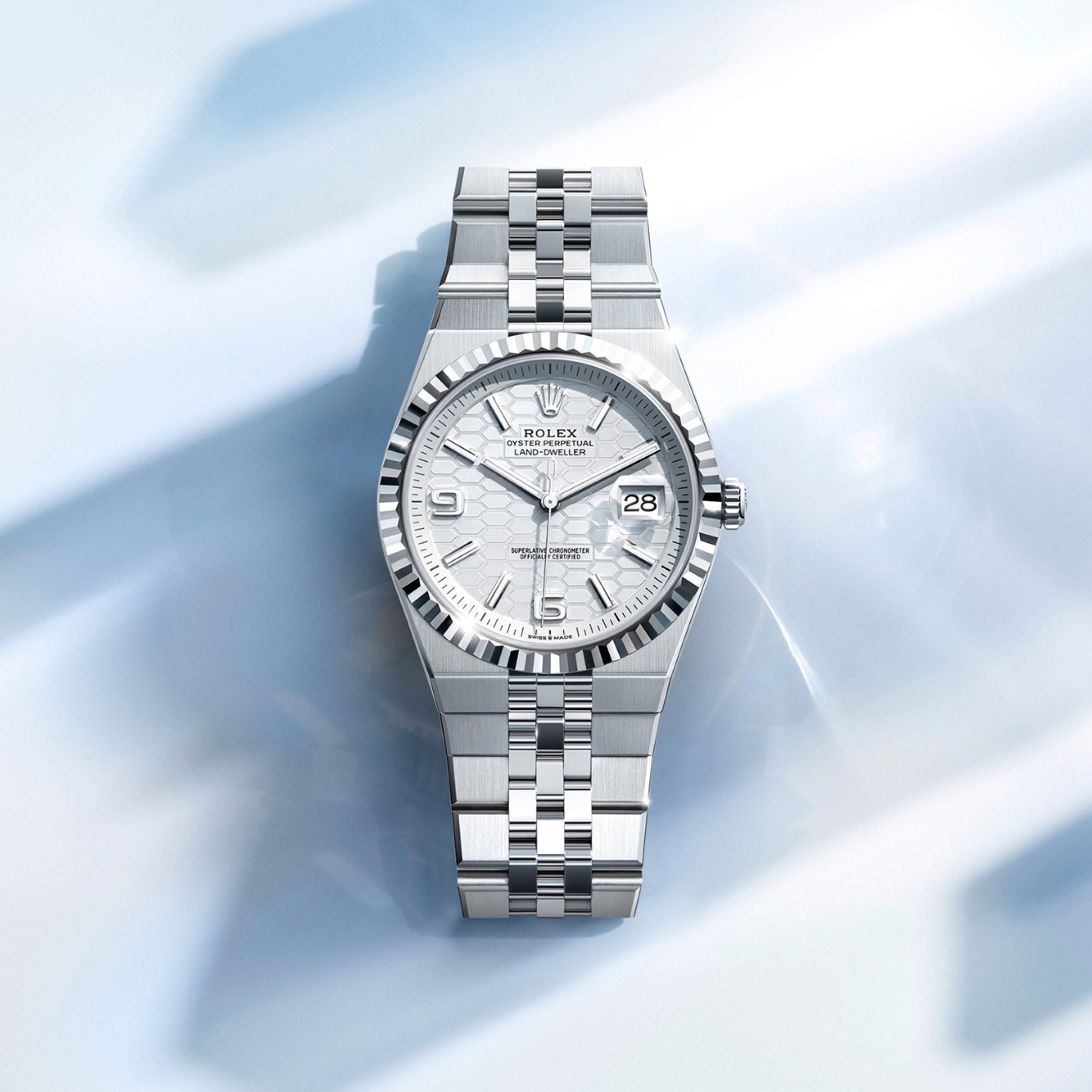 Rolex Land-Dweller in Platinum, M127286TBR-0001 - Meierotto Jewelers