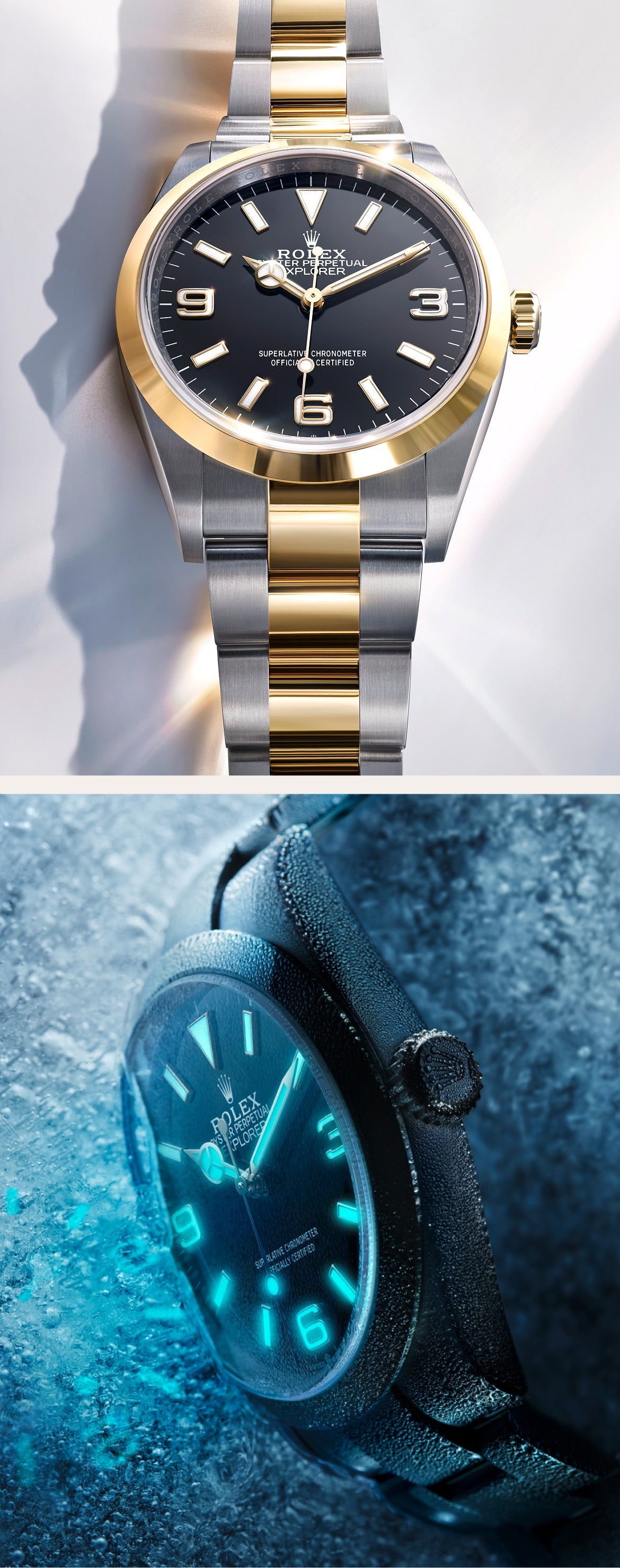Rolex Explorer watches - Meierotto Jewelers