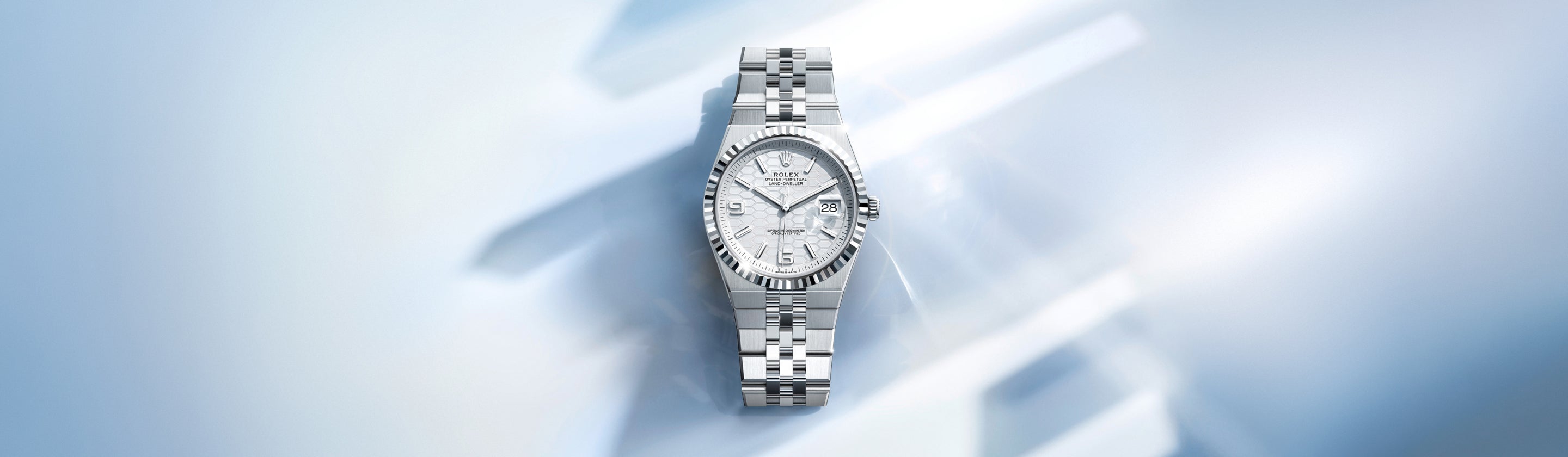 Rolex Land-Dweller watches - Meierotto Jewelers