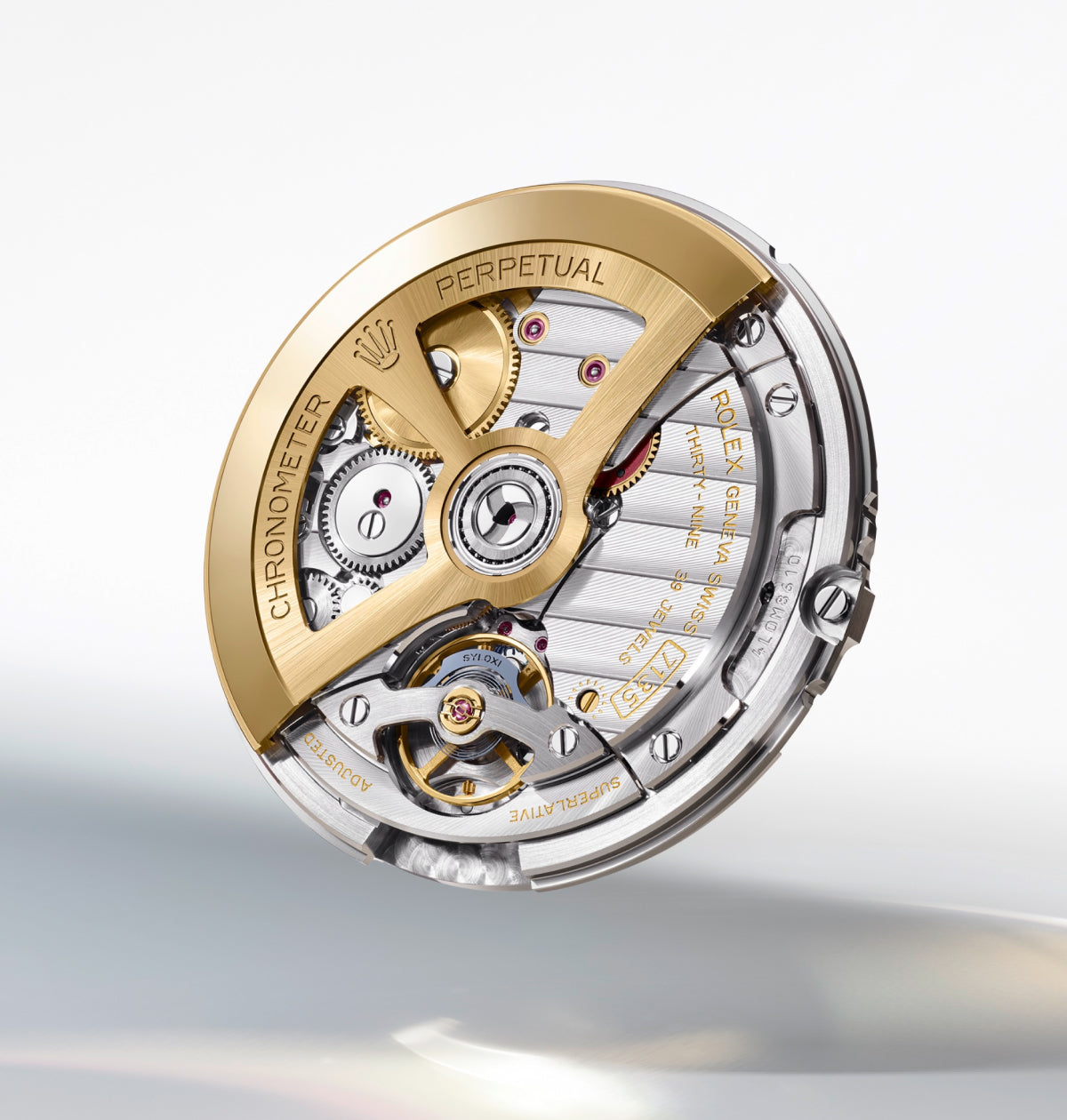 alt="rolex new Land-Dweller watches 2025 - Meierotto Jewelers"