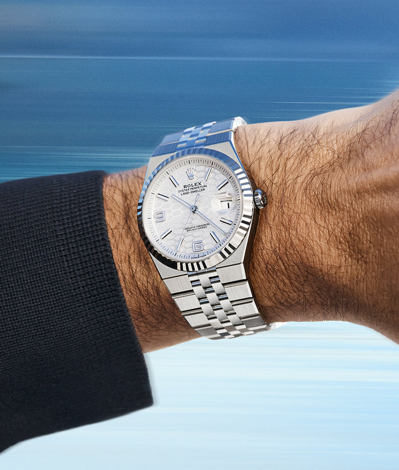 Rolex new Land-Dweller watches 2025 - Meierotto Jewelers