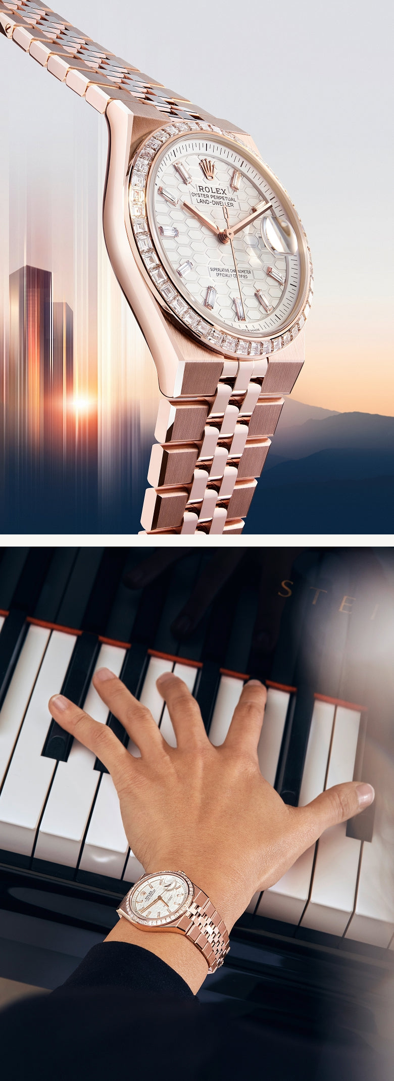 Rolex new Land-Dweller watches 2025 - Meierotto Jewelers