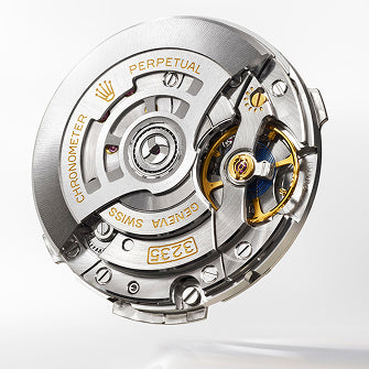 Rolex Datejust 41 watches - Meierotto Jewelers